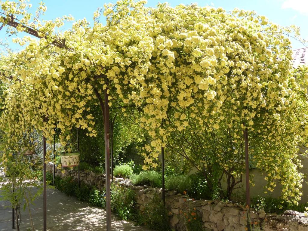 Bed & Breakfast La Ferme Du Petit Segries