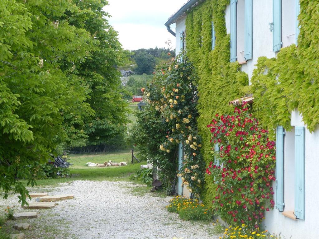 Bed & Breakfast La Ferme Du Petit Segries Moustiers-Sainte-Marie
